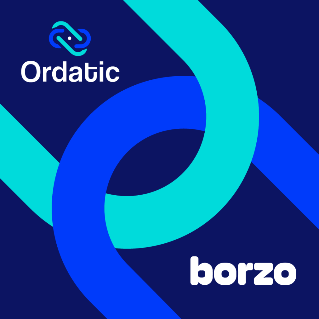 partner borzo